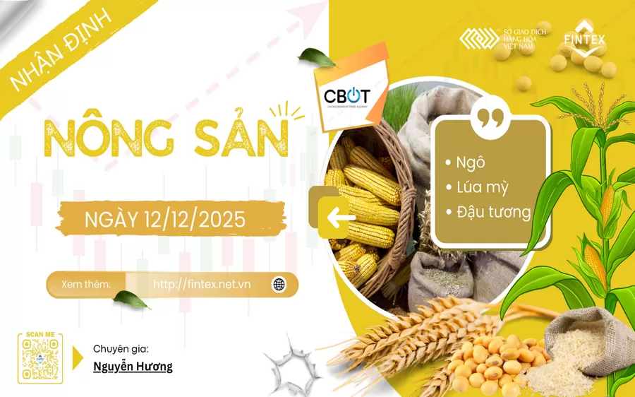 NHẬN ĐỊNH THỊ TRƯỜNG NÔNG SẢN NGÀY 12/12/2025